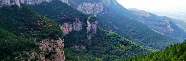 91视频成人免费版 91视频成人免费版