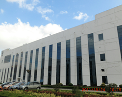 91视频成人免费版